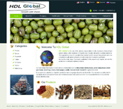 HDL Global